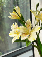 Luxe White Lily of the Incas Ensemble Faux Floral Arrangement