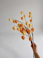 Konstgjord physalisblomarrangemang - Ljus orange (3 stjälkar)