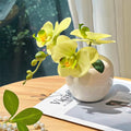 Sunlit Phalaenopsis Faux Floral Arrangement
