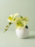 Sunlit Phalaenopsis Faux Floral Arrangement