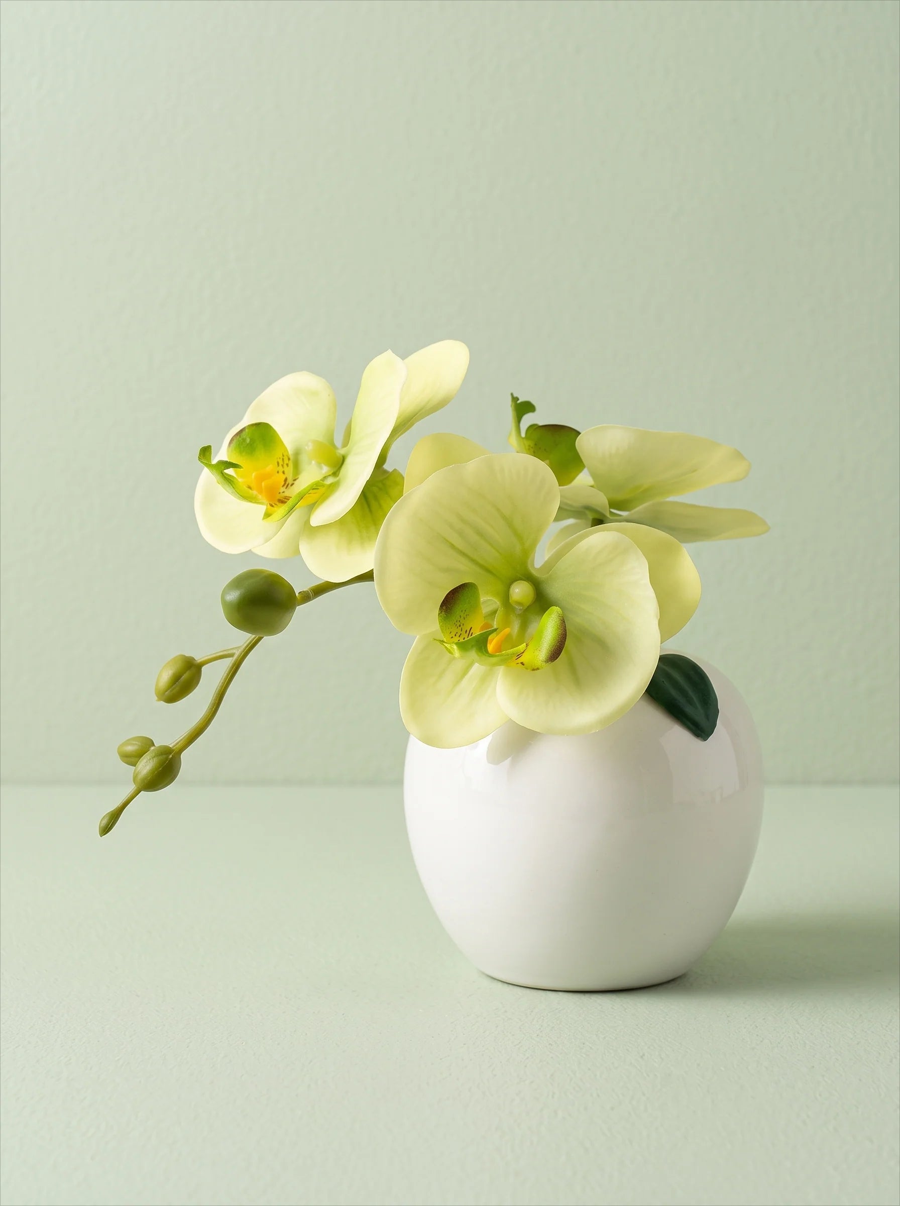 Sunlit Phalaenopsis Faux Floral Arrangement