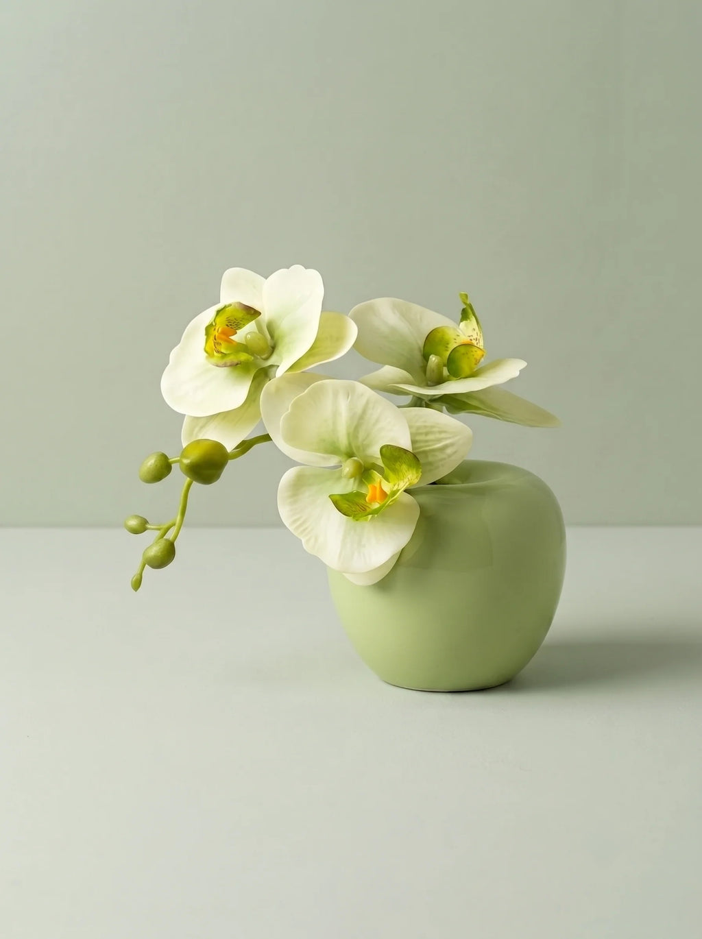 Sunlit Phalaenopsis Faux Floral Arrangement