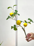 Serene Zen Lemon Fruit Sculpture Artificial Floral Arrangement