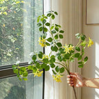 Luxury Zen Schefflera Blossom Artificial Floral Arrangement