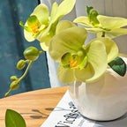 Sunlit Phalaenopsis Faux Floral Arrangement