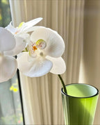 Tige d'orchidée Phalaenopsis blanche élégante fausse