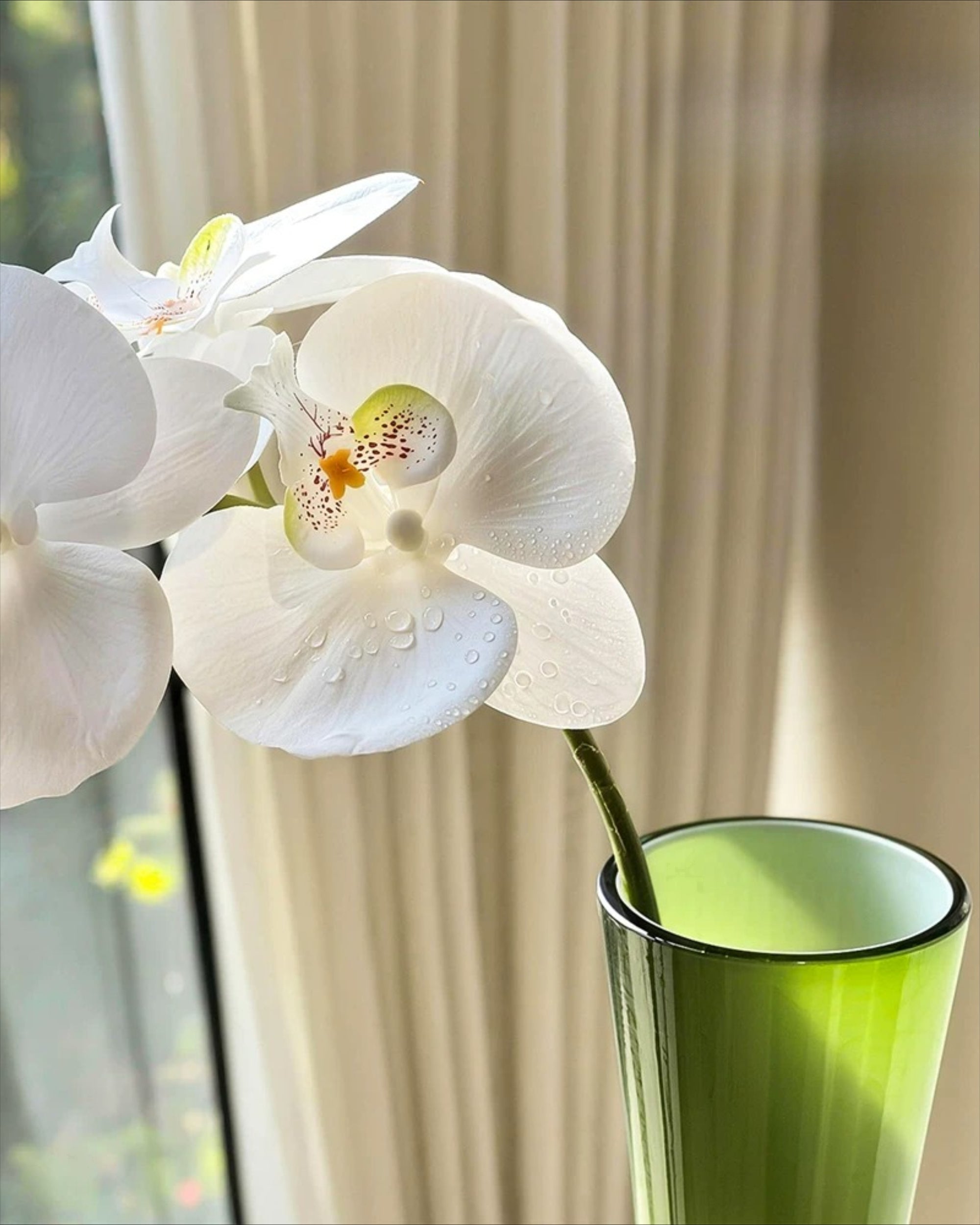 Elegant White Phalaenopsis Faux Orchid Stem