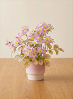 Minimalist Blush Jasmine Potted Faux Floral Arrangement