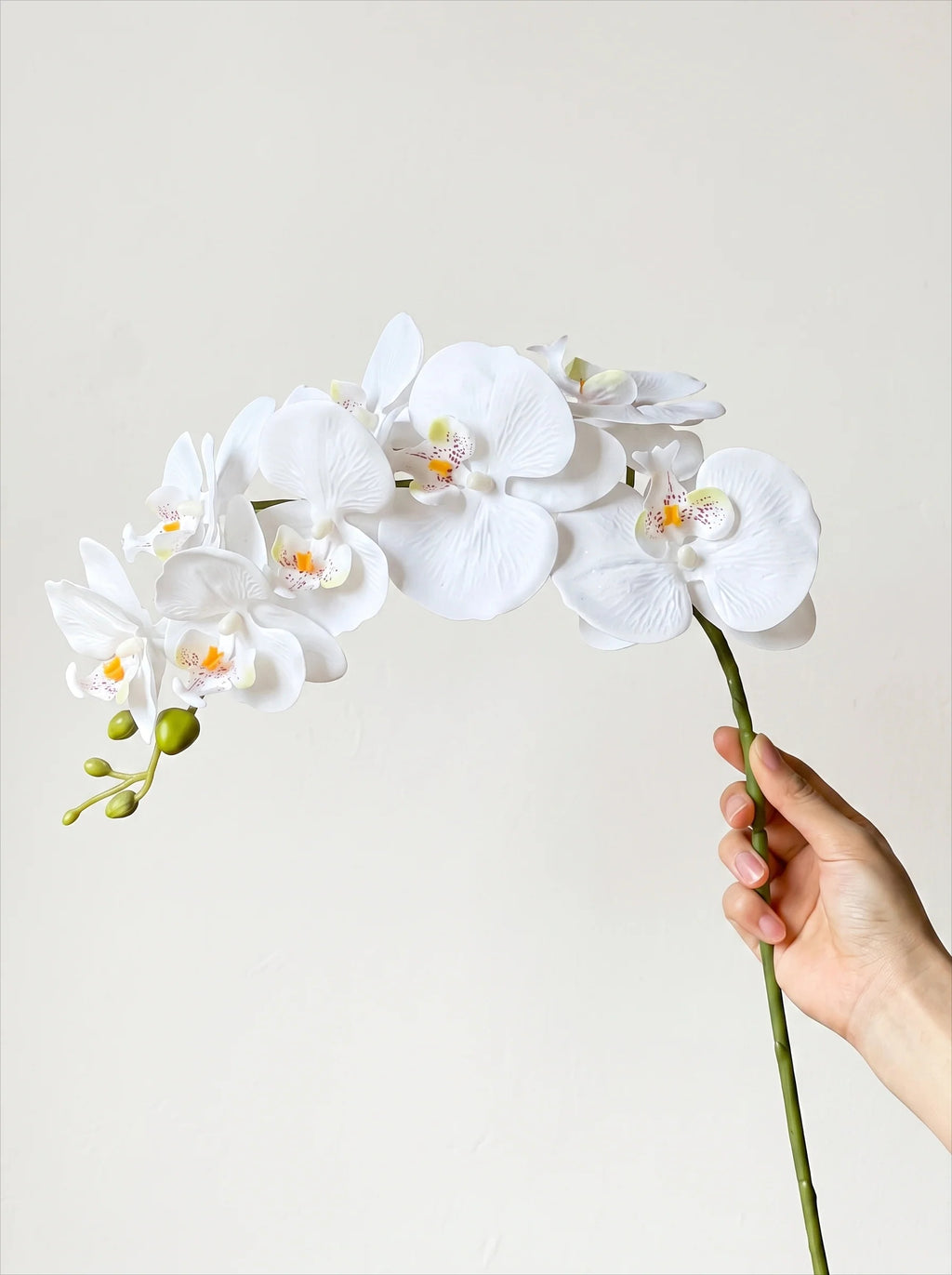 Elegante Witte Phalaenopsis Kunstorchidee Stengel