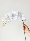 Elegante Witte Phalaenopsis Kunstorchidee Stengel