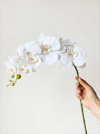 Elegante Witte Phalaenopsis Kunstorchidee Stengel