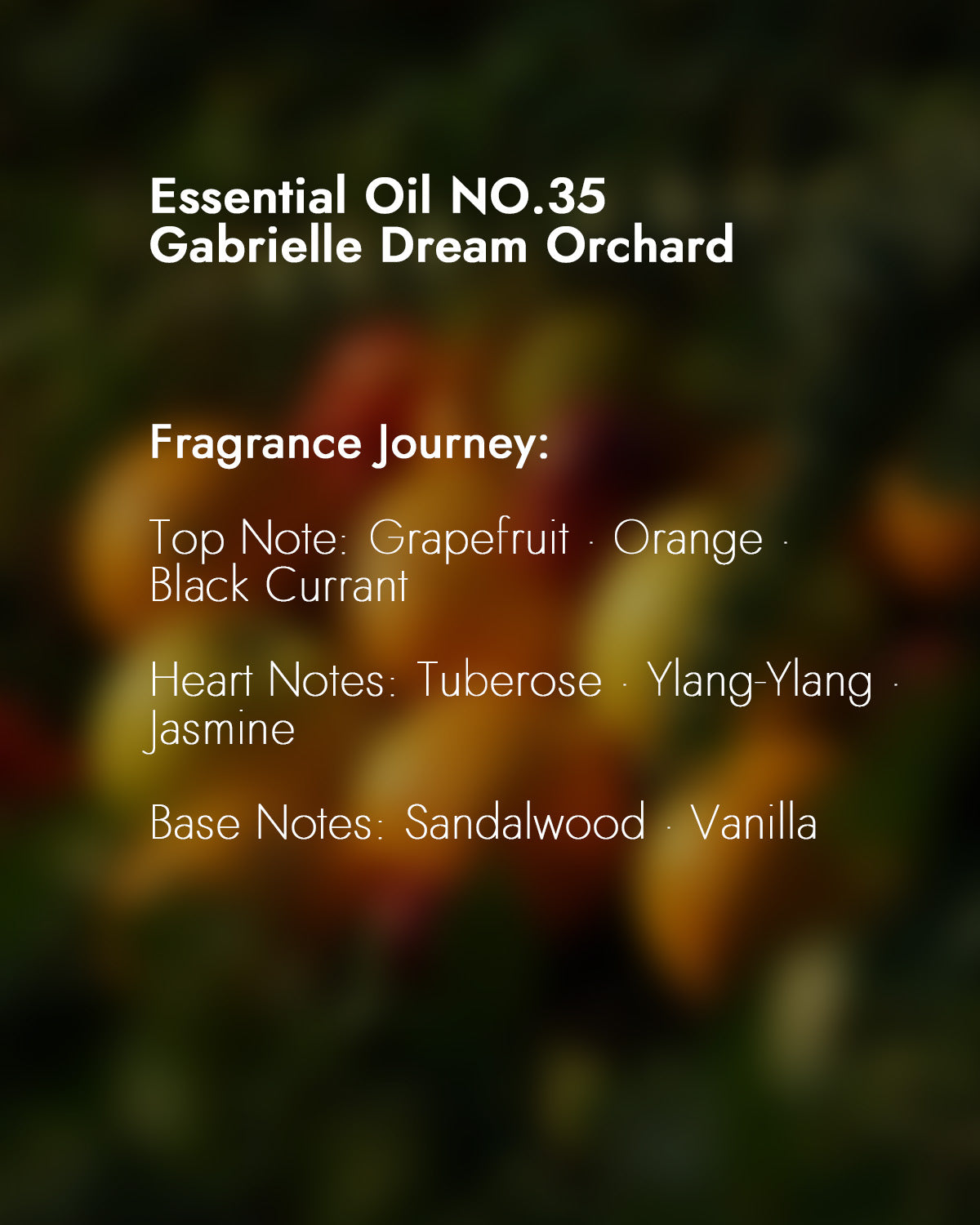 シャバニックオイル NO.35 ガブリエル ドリームオーチャード