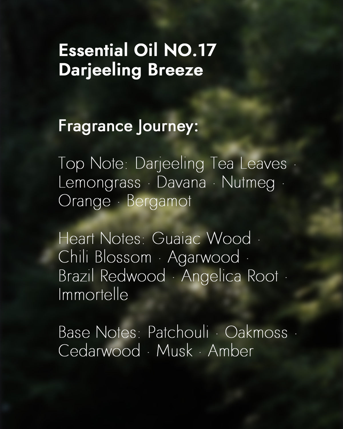 チャバニックオイル NO.17 ダージリンブリーズ