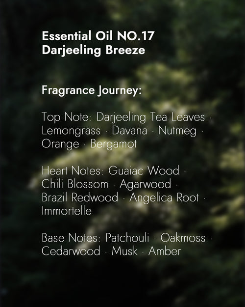 Chavanic Öl NO.17 Darjeeling Breeze