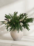 Winter Pine & White Berry Faux Floral Arrangement