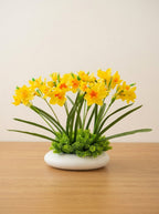 Zen Vibrant Yellow Daffodil Botanical Faux Floral Arrangement