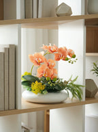 Zen Apricot Phalaenopsis Orchid Botanical Faux Floral Arrangement