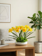 Zen Vibrant Yellow Daffodil Botanical Faux Floral Arrangement