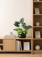 Modern Tropical White Daisy Faux Floral Arrangement