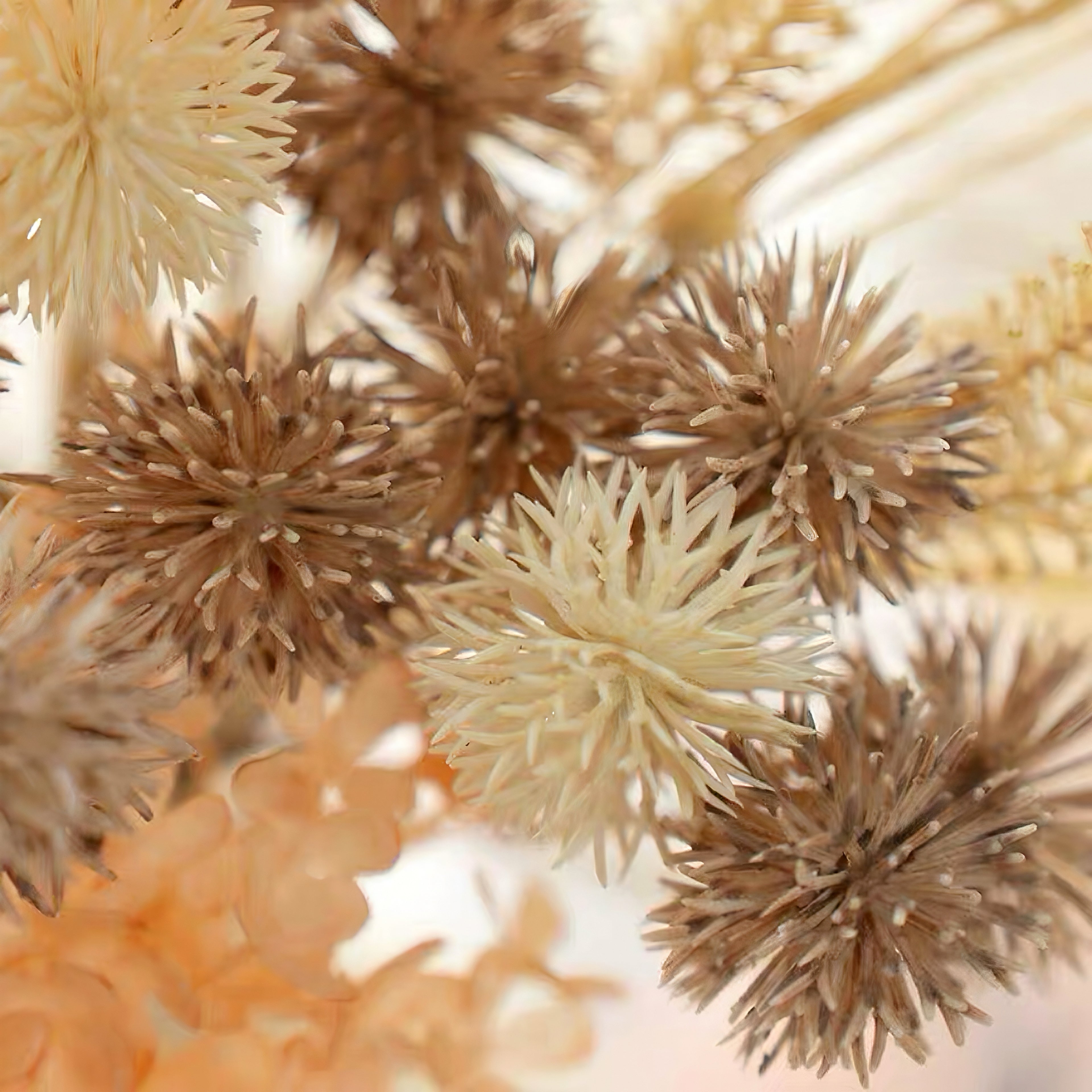 Faux Floral Arrangement - Peach Hydrangea & Neutral Pampas Grass