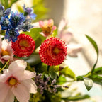 Faux Floral Arrangement - Multicolor Mixed Blooms with White Rose & Greenery
