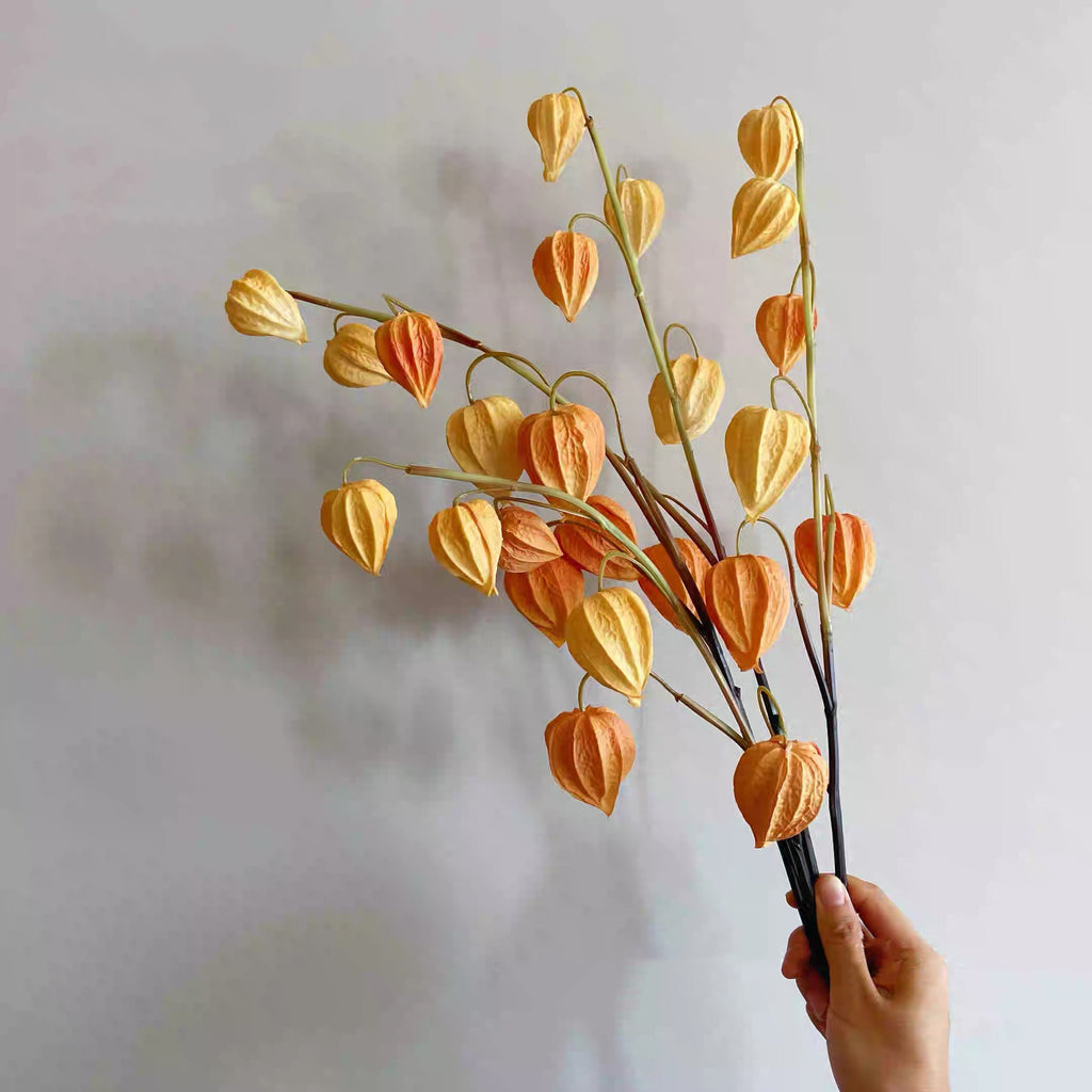 Faux Physalis Flower Arrangement - Light Orange (3 Stems)