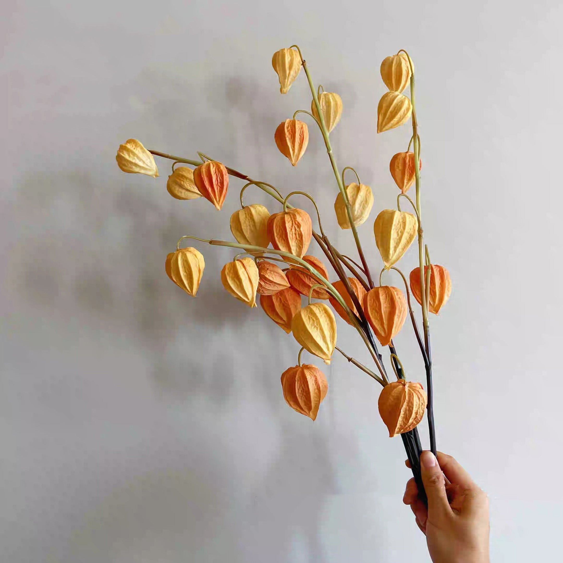 Faux Physalis Flower Arrangement - Light Orange (3 Stems)