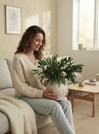 Winter Pine & White Berry Faux Floral Arrangement