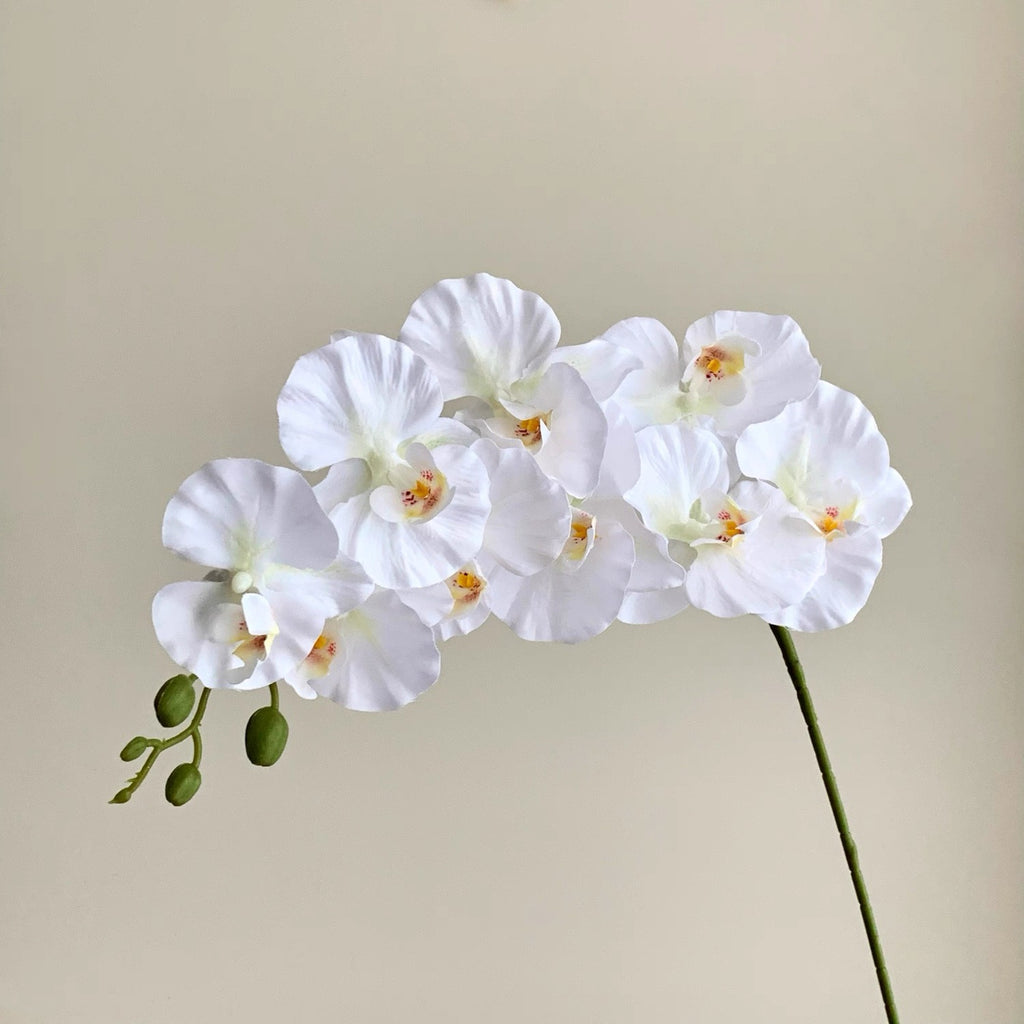 フェイクチューリップアレンジメント - ホワイト（茎10本 / 花10個）