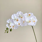 フェイクチューリップアレンジメント - ホワイト（茎10本 / 花10個）