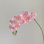 フェイクチューリップアレンジメント - ホワイト（茎10本 / 花10個）