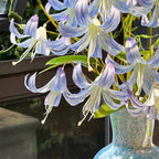 フェイクチューリップアレンジメント - ホワイト（茎10本 / 花10個）