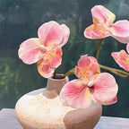 Soft Blush Phalaenopsis Faux Floral Arrangement