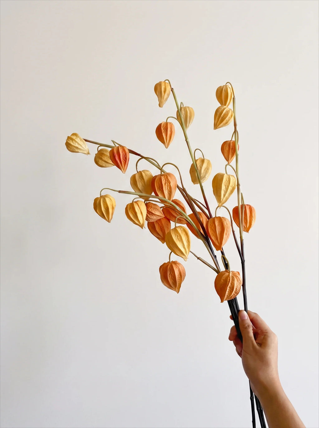 Faux Physalis Flower Arrangement - Light Orange (3 Stems)