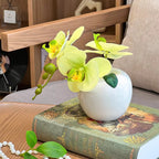 Sunlit Phalaenopsis Faux Floral Arrangement