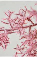 Misty Blush Wabi-Sabi Vase Faux Floral Arrangement