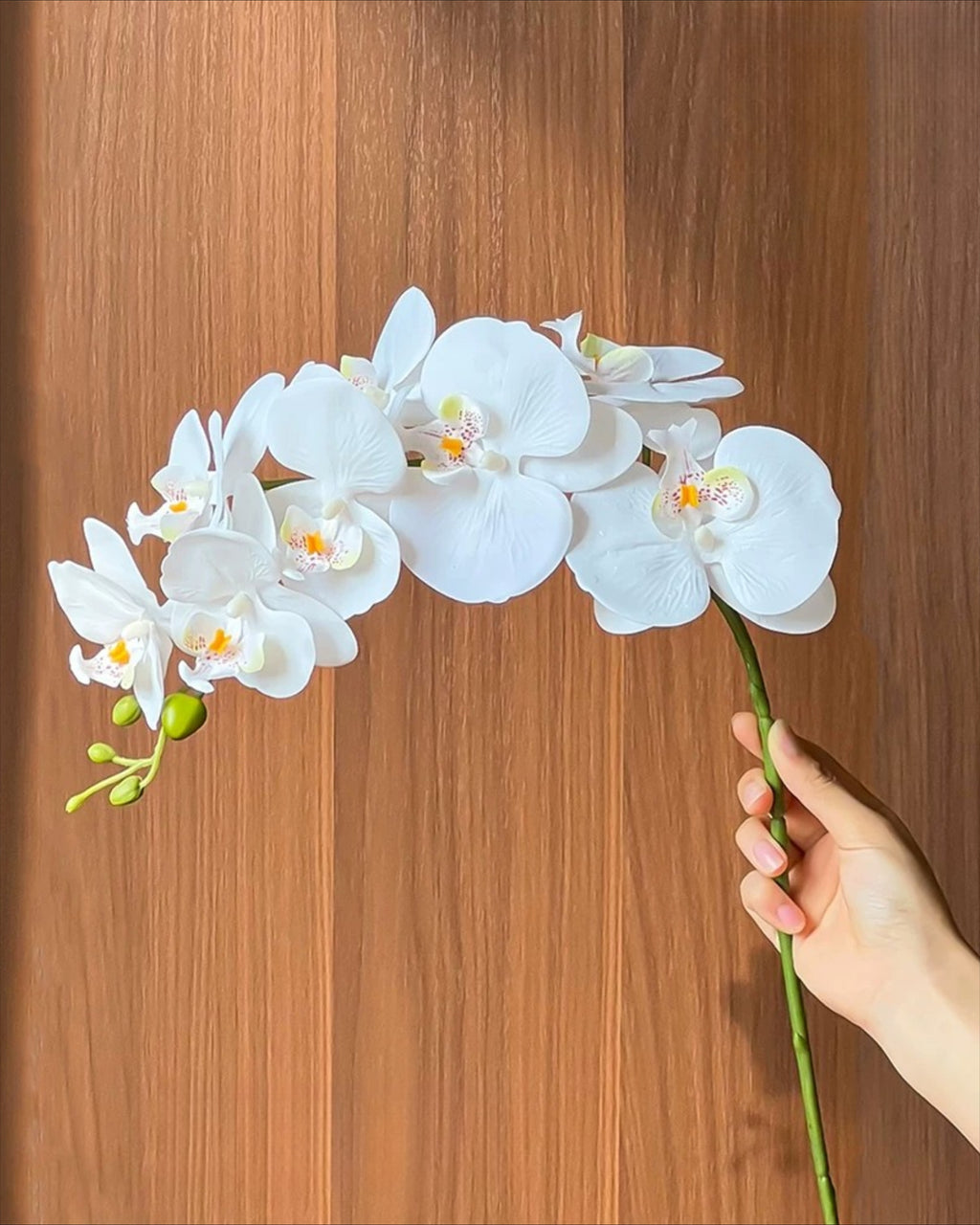 Tige d'orchidée Phalaenopsis blanche élégante fausse
