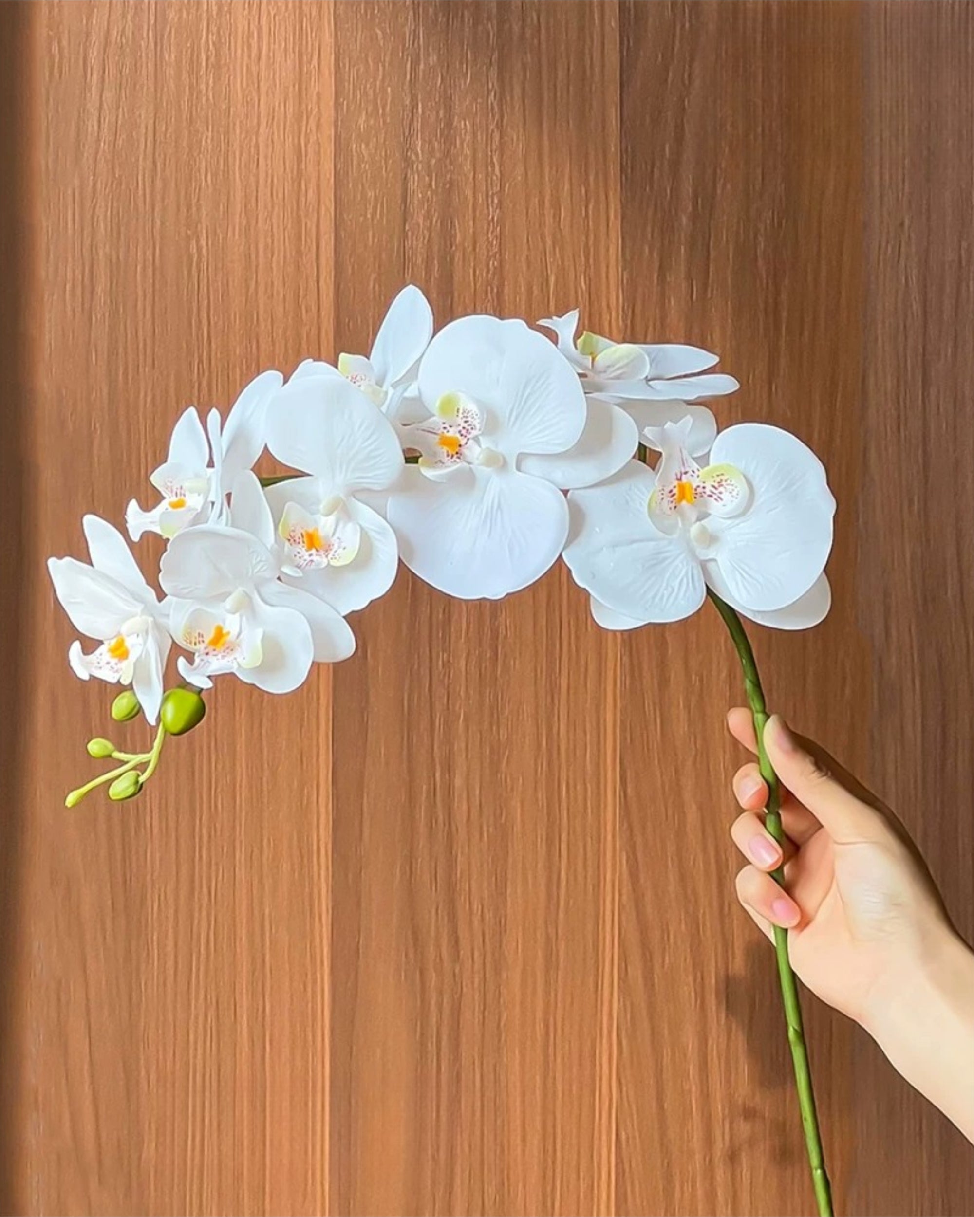 Elegant White Phalaenopsis Faux Orchid Stem