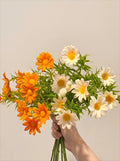 Sunlit Daisy & Chamomile Faux Floral Basket Arrangement