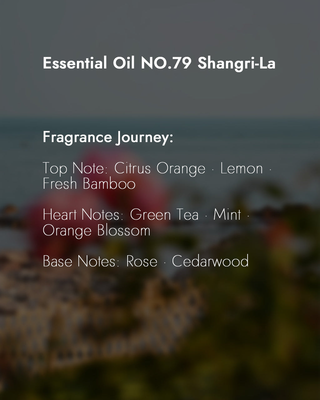 Chavanic Öl NO.79 Shangri-La
