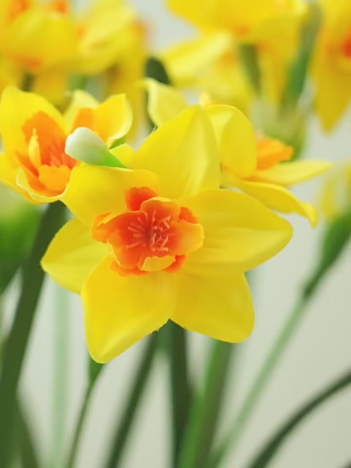 Zen Vibrant Yellow Daffodil Botanical Faux Floral Arrangement