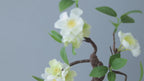 Minimalist Zen Sculptural Blossom Branch Faux Floral Arrangement