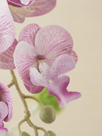 Zen Mauve Purple Orchid Botanical Faux Floral Arrangement