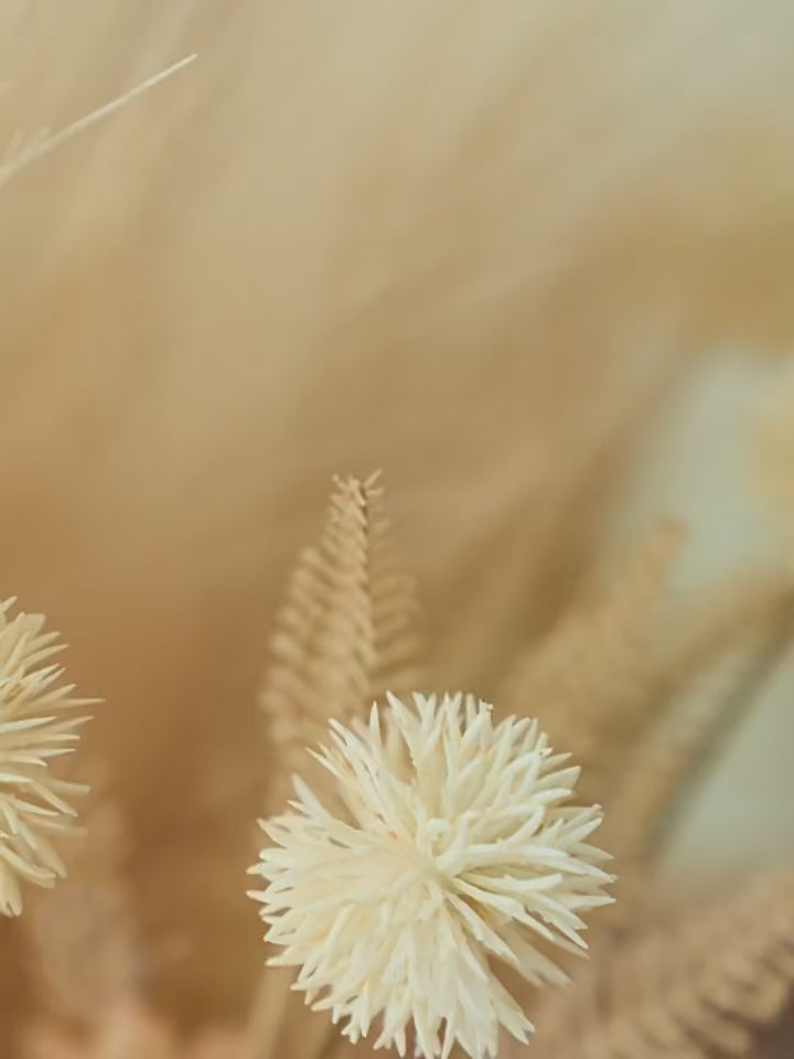 Modern Boho Creamy Pampas & Hydrangea Artificial Floral Arrangement