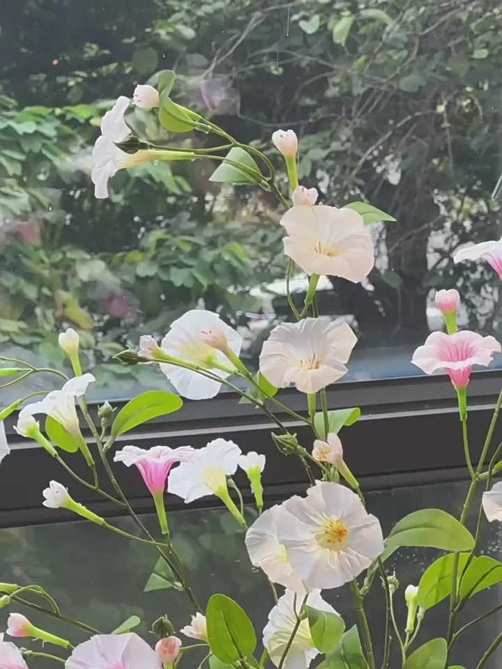 Luxury Blush Morning Glory Artificial Floral Arrangement