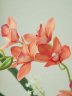 Zen Asian-Inspired Coral Orchid Botanical Faux Floral Arrangement
